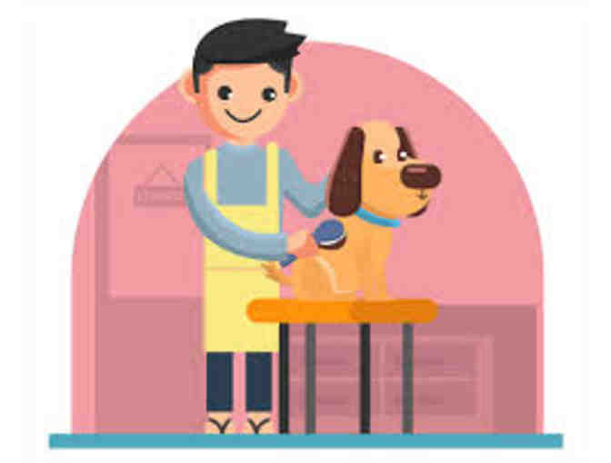 VCA Animal Hospital - Coppell -  Medical, Grooming, Boarding  - $100 Gift Certificate