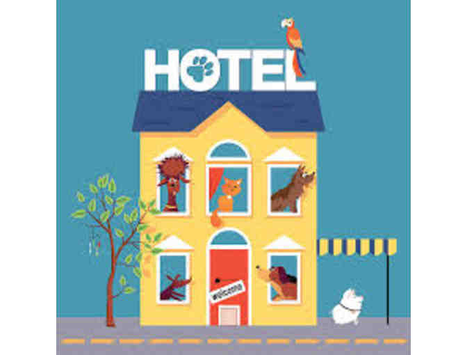 VCA Animal Hospital - Coppell -  Medical, Grooming, Boarding  - $100 Gift Certificate