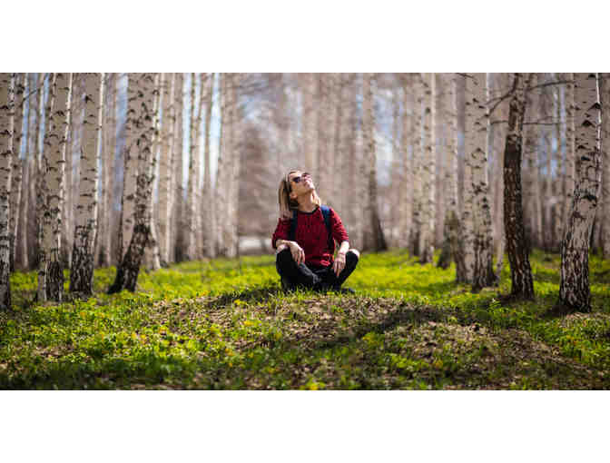 BodyInBalance Therapeutic Massage - $80 Gift Certificate