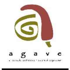 Agave Restaurant