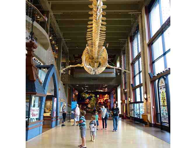 Grand Rapids Public Museum Passes (4)