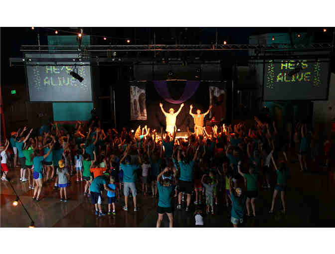 Spring Hill Day Camp Experience