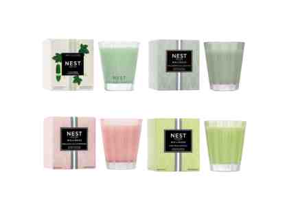 Nest New York WELLNESS Bundle--Set of (4) Four