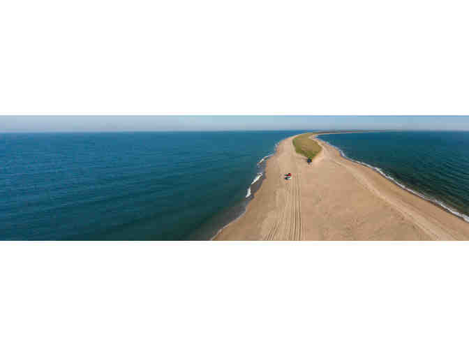 Private Natural History Tour of Coskata-Coatue Wildlife Refuge for 4 people - Nantucket