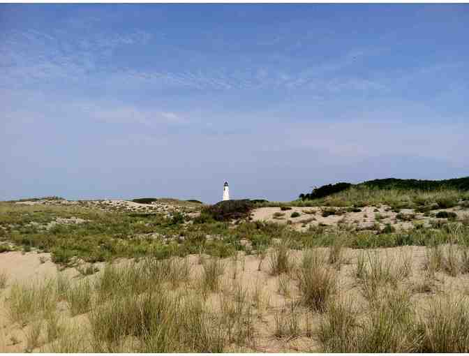 Private Natural History Tour of Coskata-Coatue Wildlife Refuge for 4 people - Nantucket
