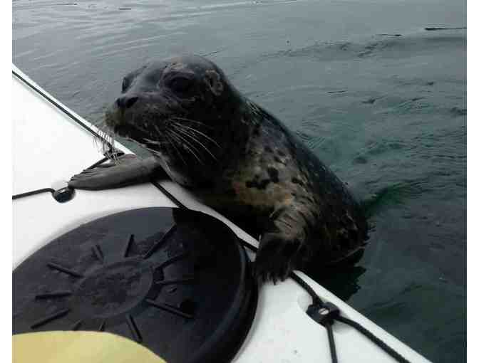5-Hour San Juan Islands Tandem Kayaking Trip from Anacortes - 2 Tickets