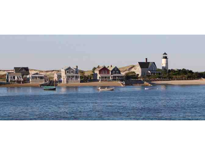 Hyannis Whale Watcher Cruises - $150 Gift Certificate