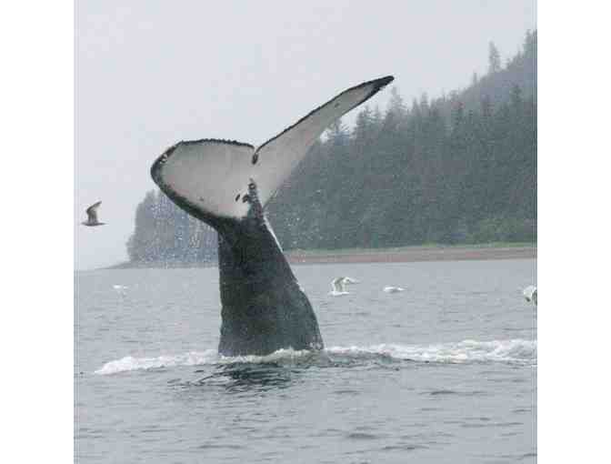 Two tickets for a 3-Hour San Juan Islands Kayaking Trip from Anacortes, WA