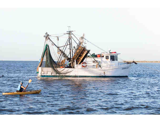 Daytime Dolphin Tour in Tybee, GA for Family of 4