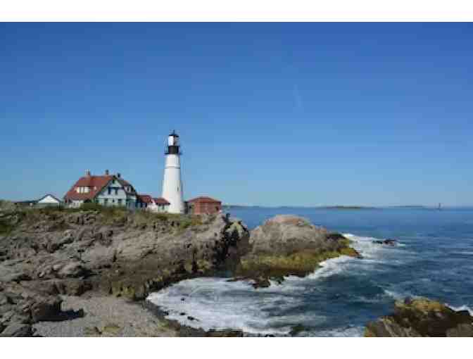 New England Eco Adventures - $100 Gift Card