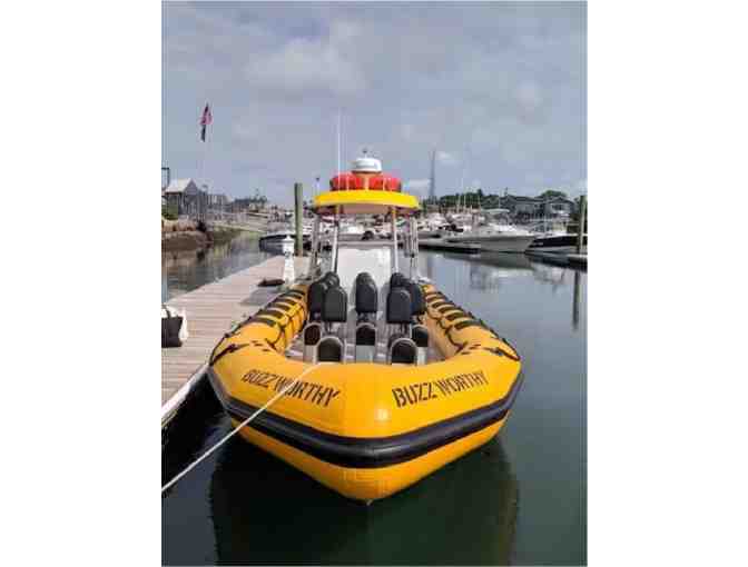 New England Eco Adventures - $100 Gift Card