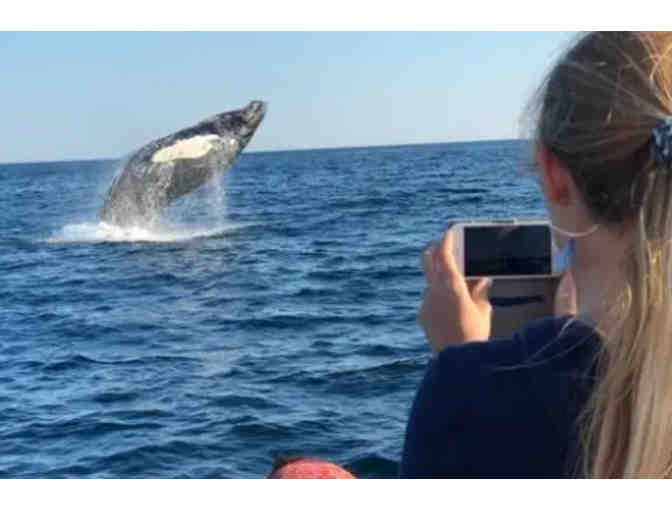 New England Eco Adventures - $100 Gift Card