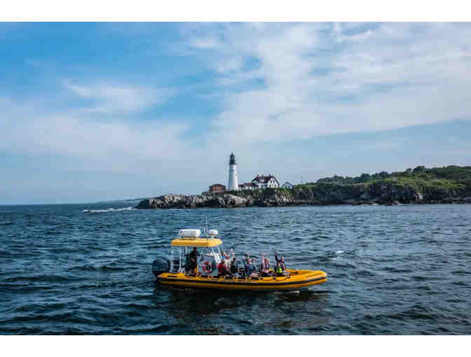 New England Eco Adventures - $100 Gift Card