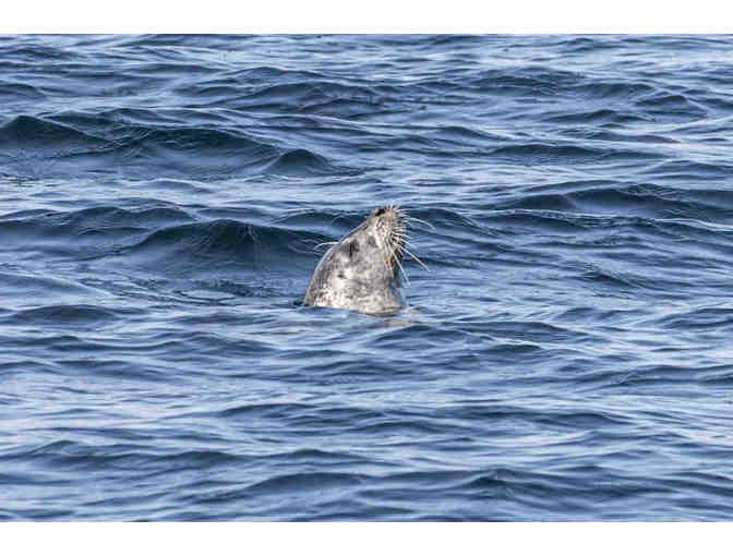 Two Hour Tour with Cap'n Fish's Cruises in Boothbay Harbor, ME - 2 Tickets