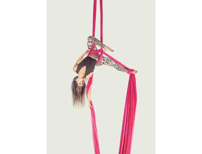 1 Hour Private Aerial Silks Class at Lake View Terrace