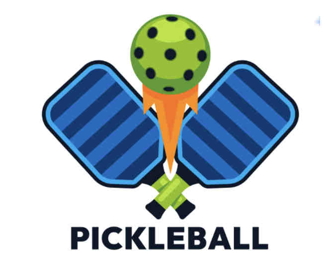 1 hour Pickleball Lesson