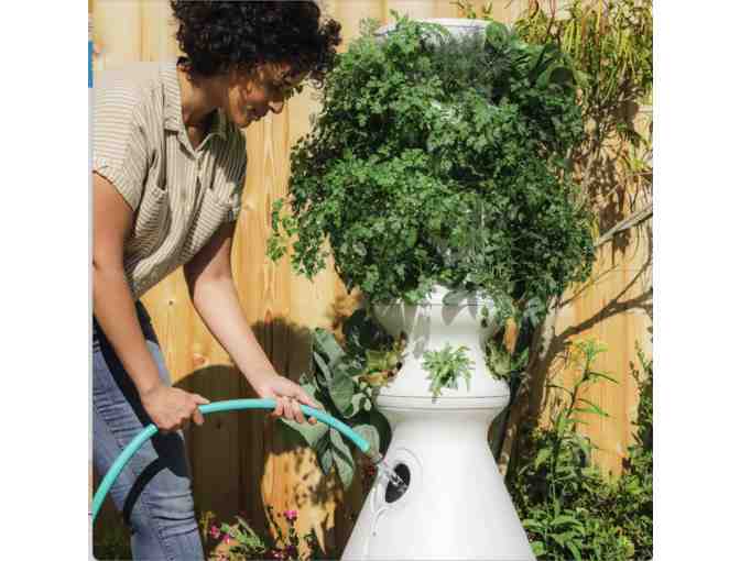 Lettuce Grow Farmstand & All the Gear