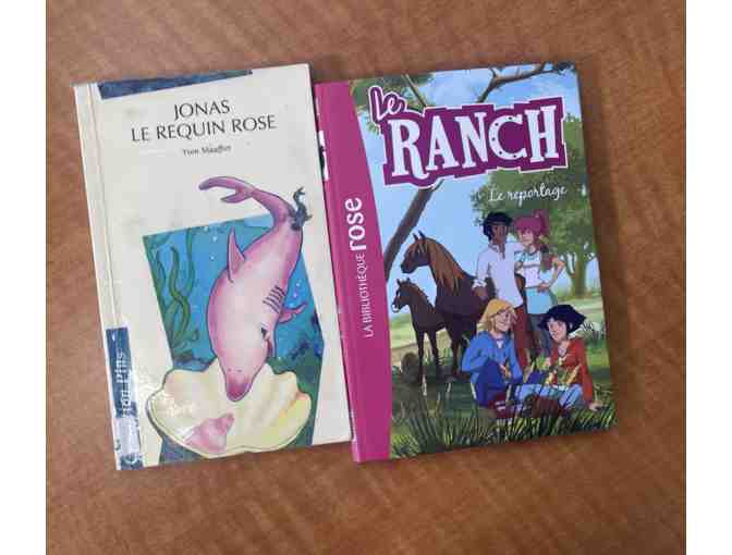 French Library: 3rd grade #4