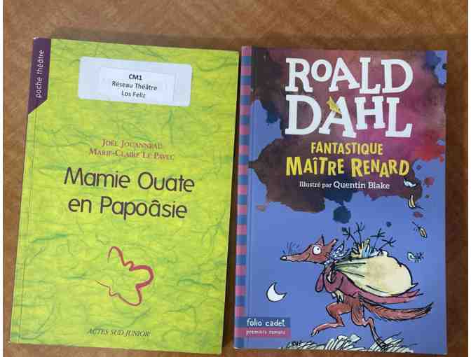 French Library: 4th grade #2