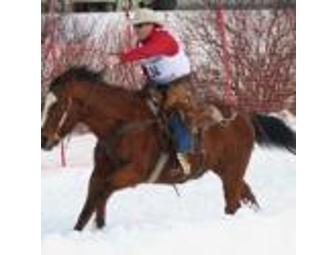 RETREAT TO BIG SKY COUNTRY - One Week Stay in Private Home in Whitefish, Montana