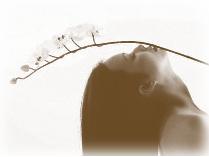 Shen Shen Health & Harmony 1 Acupuncture Session Gift Certificate