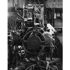 Carol Front Photography