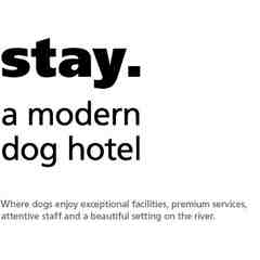 Stay-A-Modern Dog Hotel