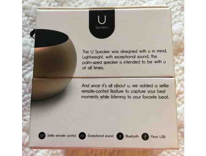 003. World's Smallest Speaker