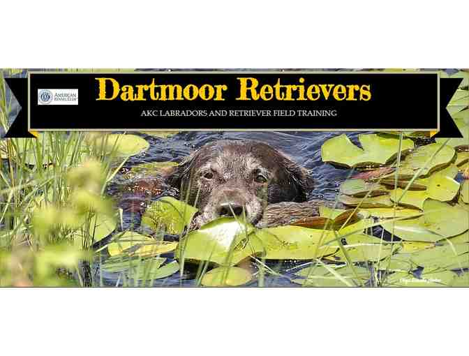 A BEAUTIFUL RELATIONSHIP!