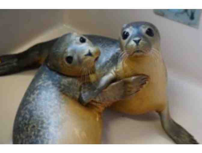 'BEHIND THE SCENES' TOUR