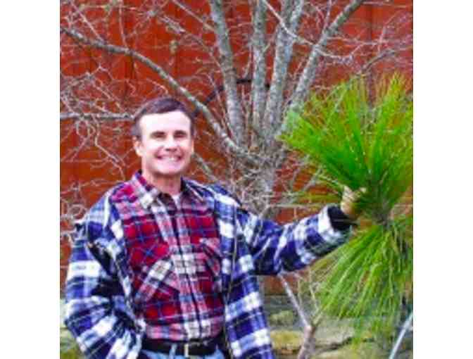 A DIFFERENT VIEW OF YOUR SPACE