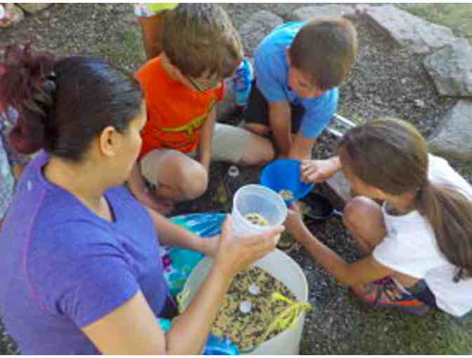 FUND A NEED: COASTAL STUDIES SUMMER PROGRAM SCHOLARSHIP DONATIONS