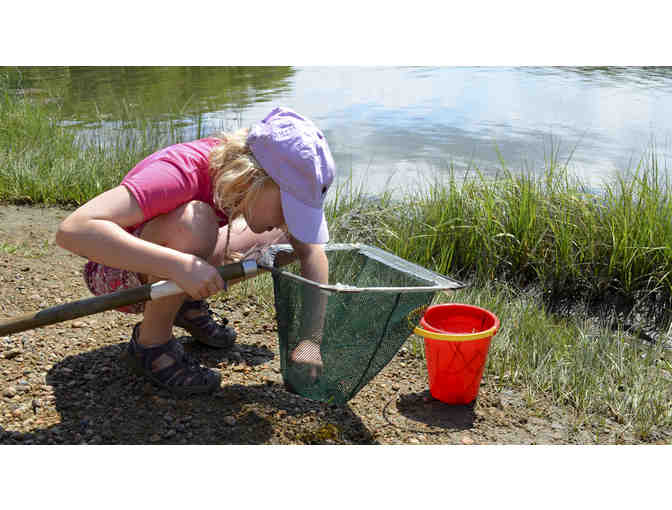 FUND A NEED: DONATIONS FOR DIP NETS!