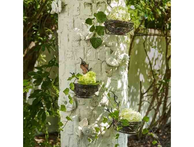 COTTAGE AT FOUR CORNERS