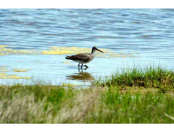 COCKTAIL PARTY AND WALK AT BARNEY'S JOY