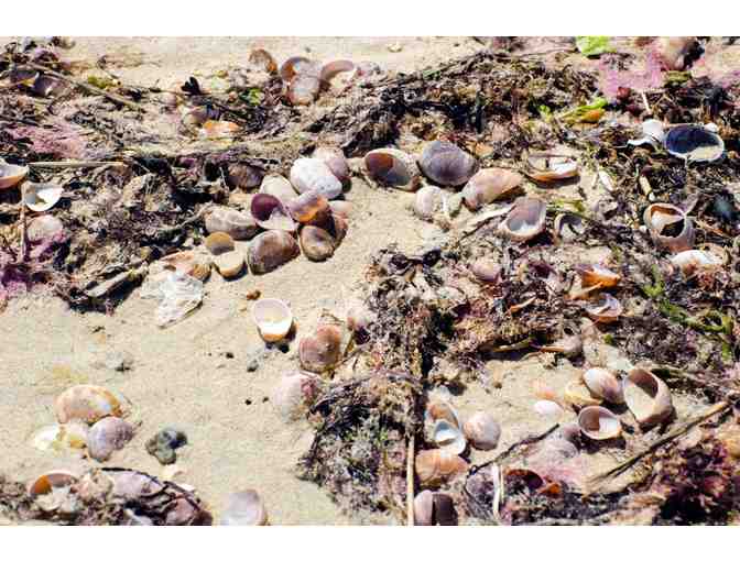 COCKTAIL PARTY AND WALK AT BARNEY'S JOY