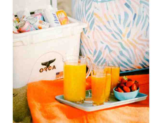 WREN ACRYLIC PITCHER AND GLASSES