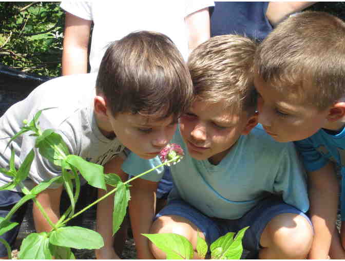 FUND A NEED: COASTAL STUDIES SUMMER PROGRAM SCHOLARSHIP DONATIONS