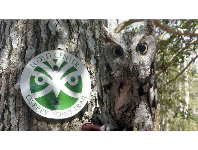 MEET KOKO, THE LLOYD CENTER'S RESIDENT SCREECH OWL