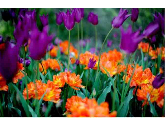 NEW ENGLAND BOTANIC GARDEN AT TOWER HILL