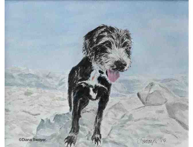 WATERCOLOR PET PORTRAIT