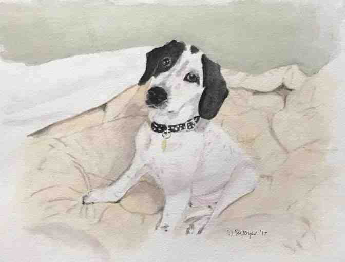 WATERCOLOR PET PORTRAIT