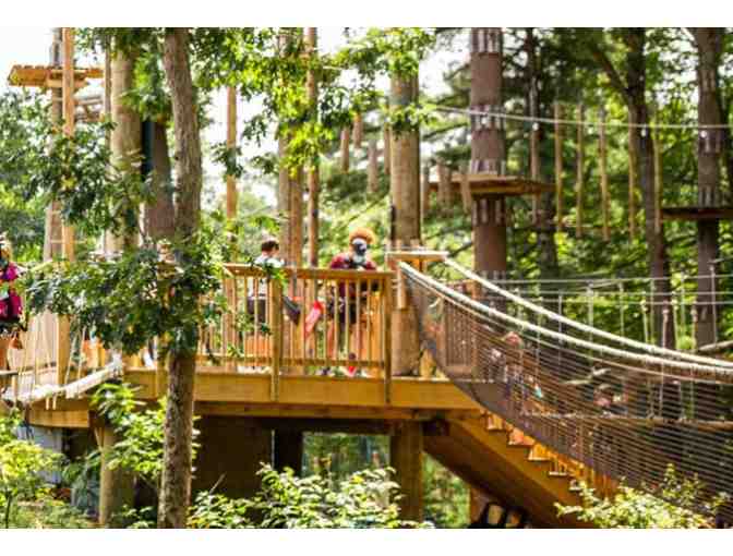 CLIMBING AND ZIP-LINE EXPERIENCE