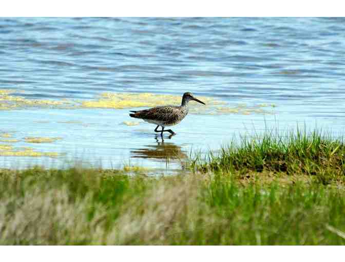 COCKTAIL PARTY FOR 6 AND WALK TO BARNEY'S