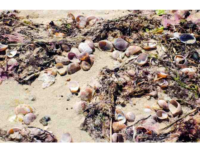 COCKTAIL PARTY FOR 6 AND WALK TO BARNEY'S