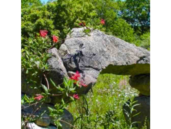 LANDSCAPE DESIGN CONSULTATION