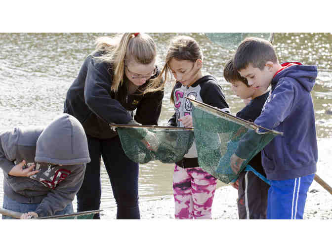 BIRTHDAY PARTY FOR 10 AT THE LLOYD CENTER