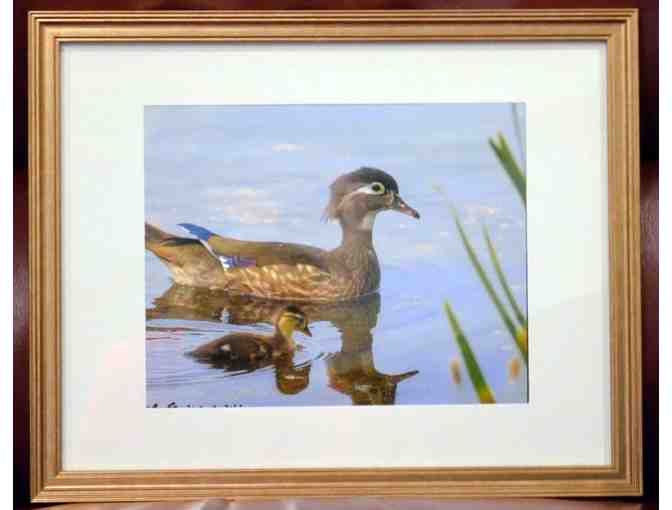 BROWN DUCK WITH DUCKLING