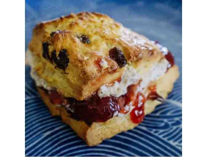 SCUTTLEBUTT COFFEE COMPANY: A PLACE TO GATHER!