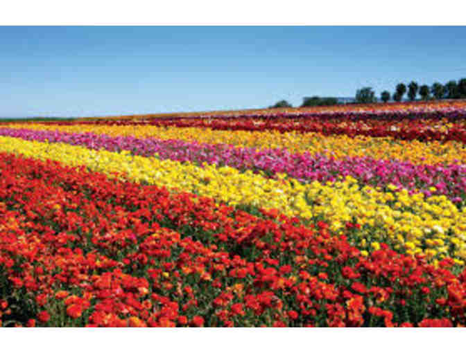 Dell Schroeder Private Lessons - (3) 30 minute instrument lessons